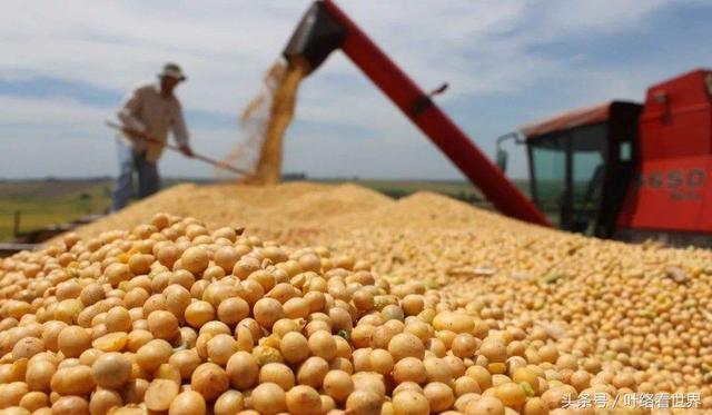 美國大豆出口大會閉幕，中國買家一顆沒買